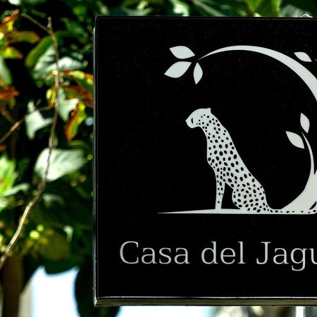 Casa Del Jaguar Beach Hotel Isla Mujeres Eksteriør bilde
