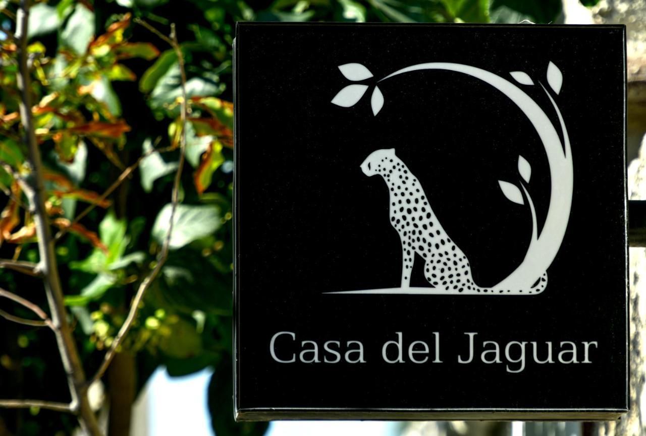 Casa Del Jaguar Beach Hotel Isla Mujeres Eksteriør bilde